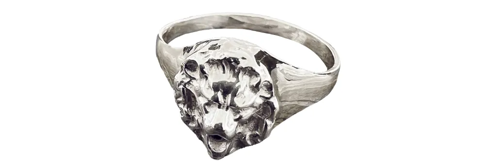 Erik Maes, Little Lion Rings