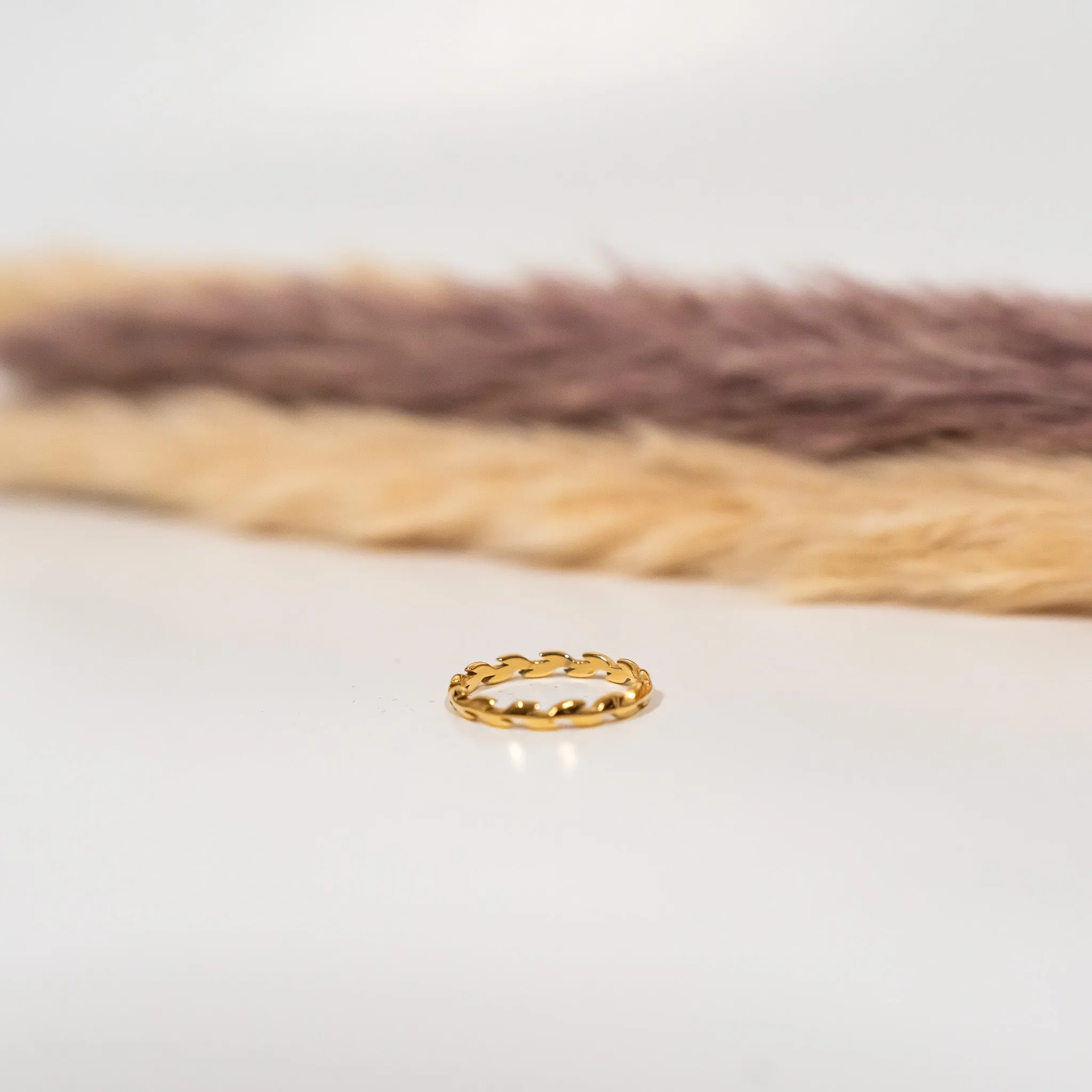 Infinite Branched Ring