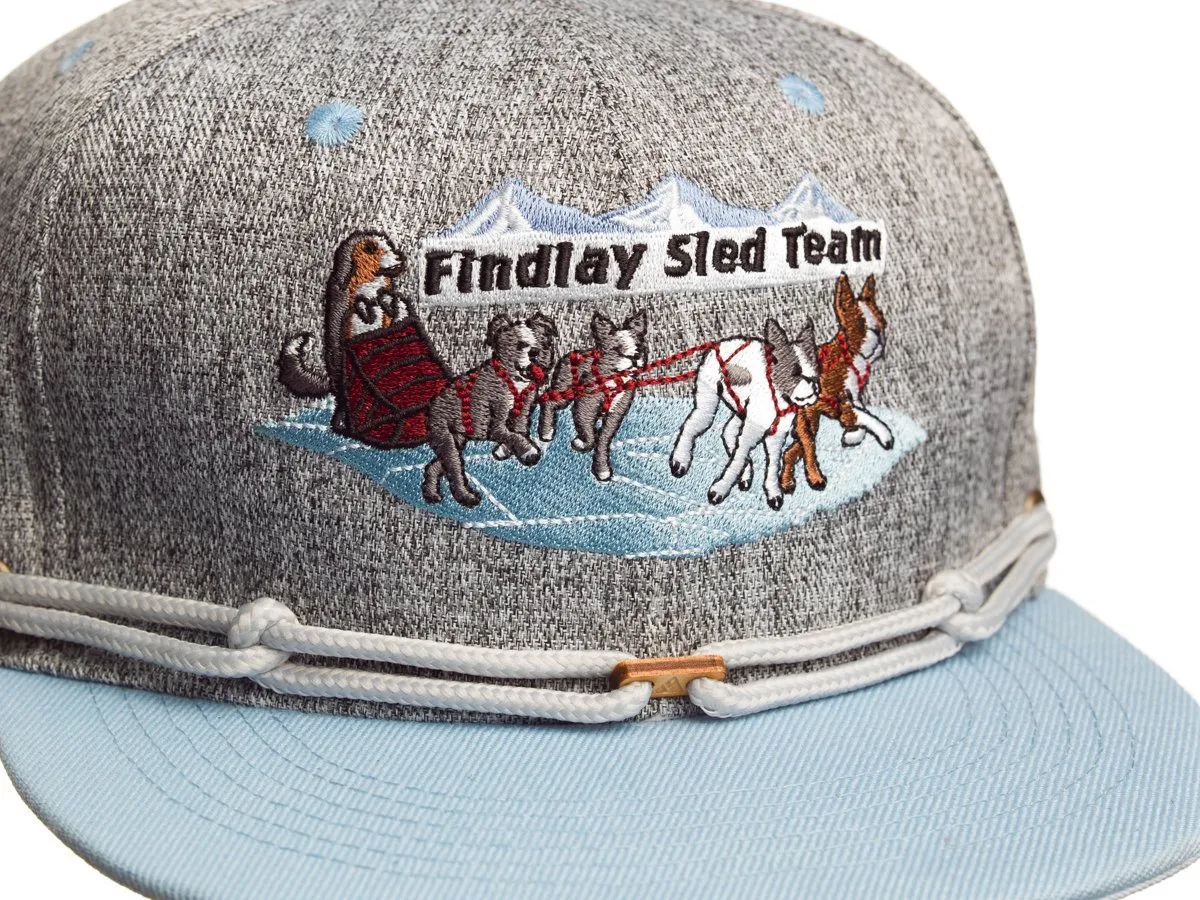 Sled Team